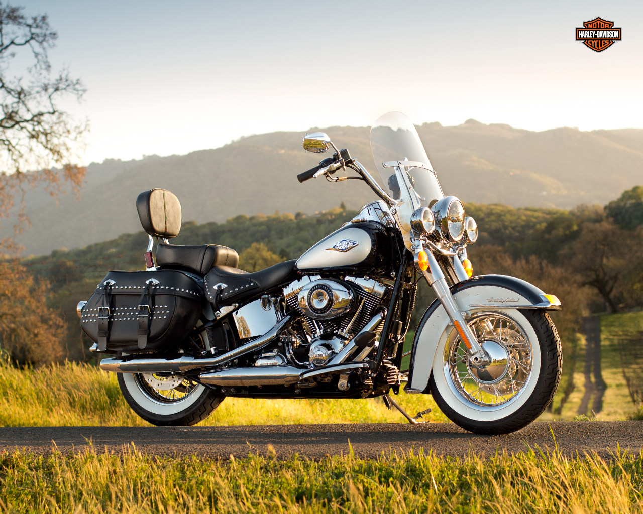 Lucky BAM Winner To Take Home New 2013 Softail Harley-Davidson